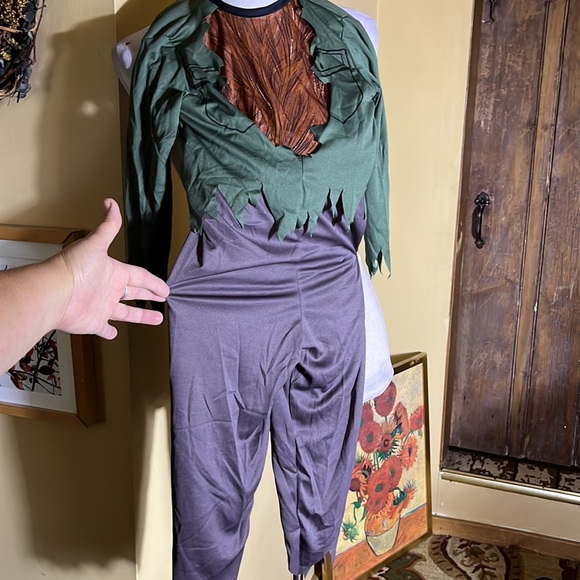The WOLFMAN Universal Studios Costume Body suit + Rubber Mask Size Child S 4-6 - Picture 7 of 16